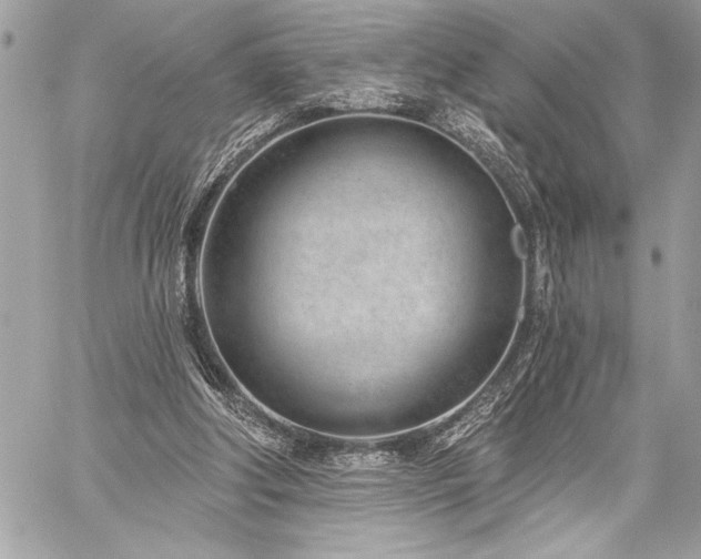 X0000060240202200510281127