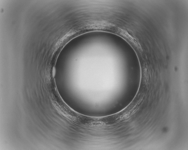 X0000060240203200510281127