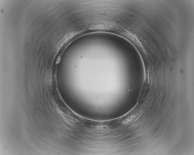 X0000060240204200510281127