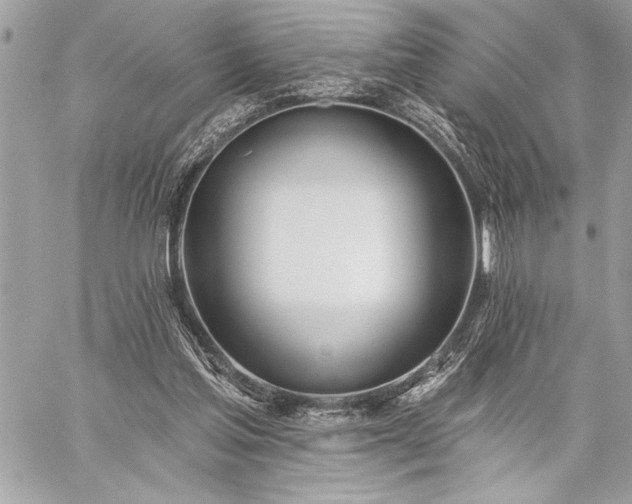 X0000060240205200510281127