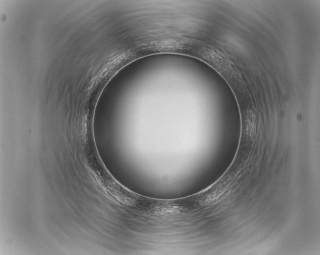 X0000060240206200510281127