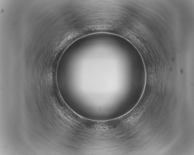 X0000060240207200510281127