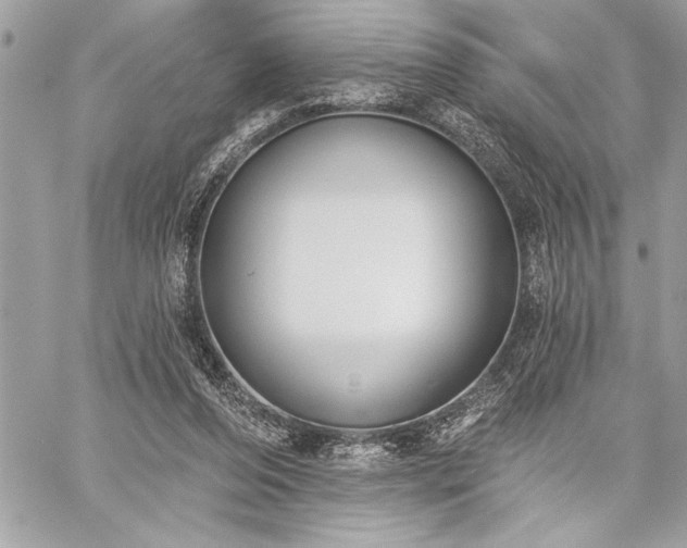 X0000060240208200510281127