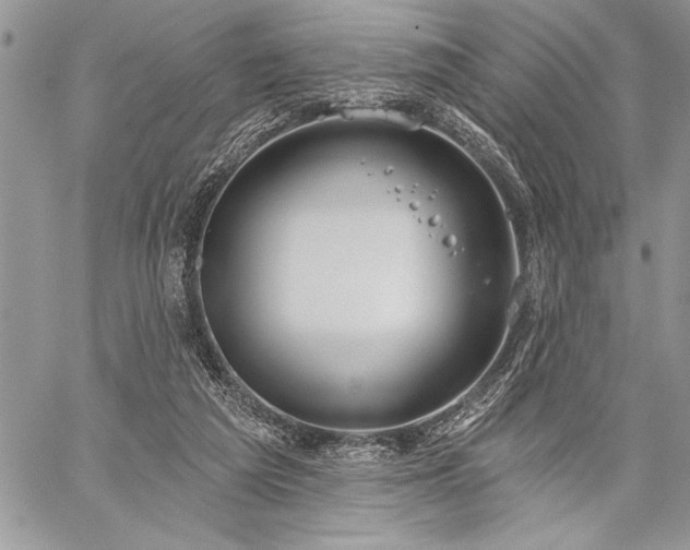 X0000060240209200510281127