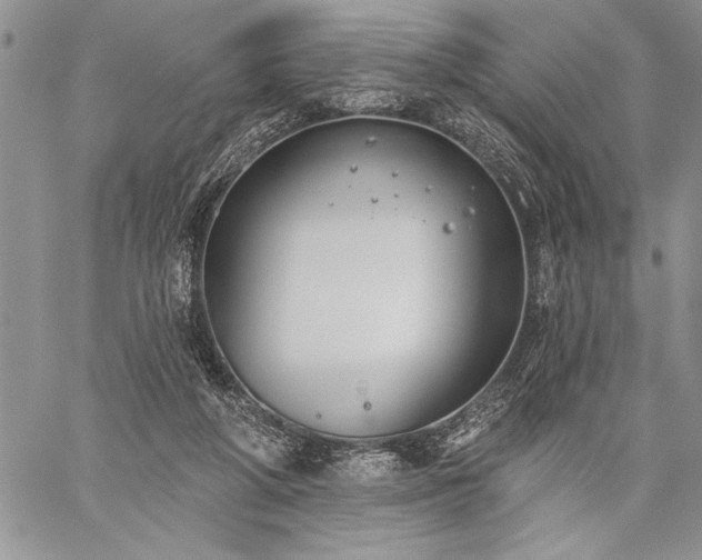 X0000060240210200510281127