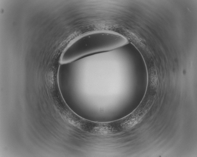 X0000060240211200510281127