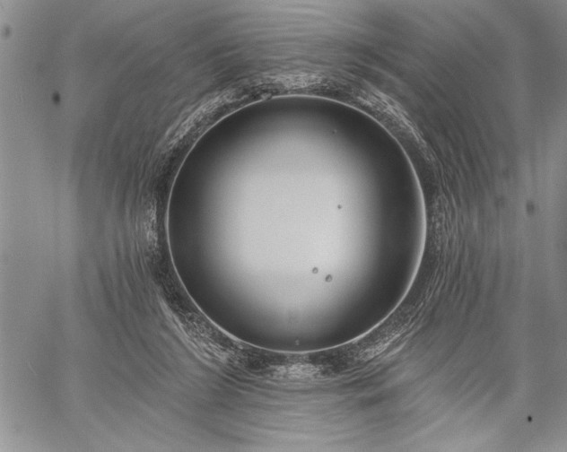 X0000060240212200510281127