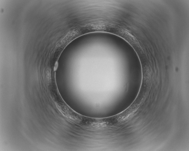 X0000060240213200510281127