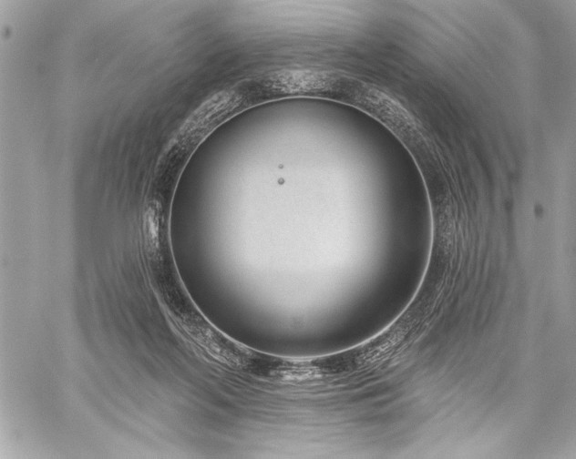 X0000060240214200510281127