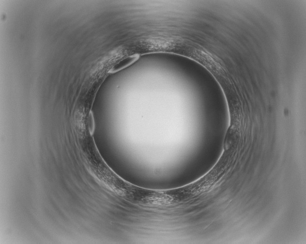 X0000060240215200510281127