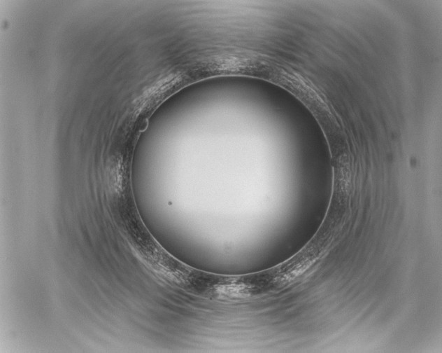 X0000060240216200510281127