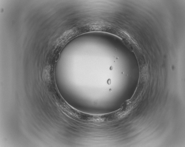 X0000060240217200510281127