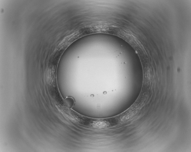 X0000060240218200510281127