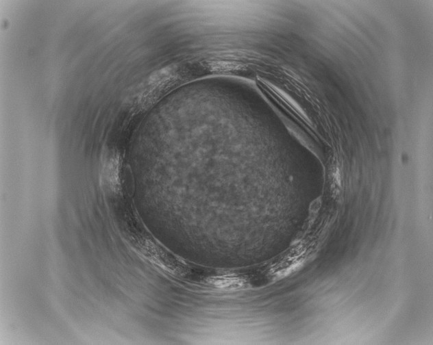 X0000060240219200510281127