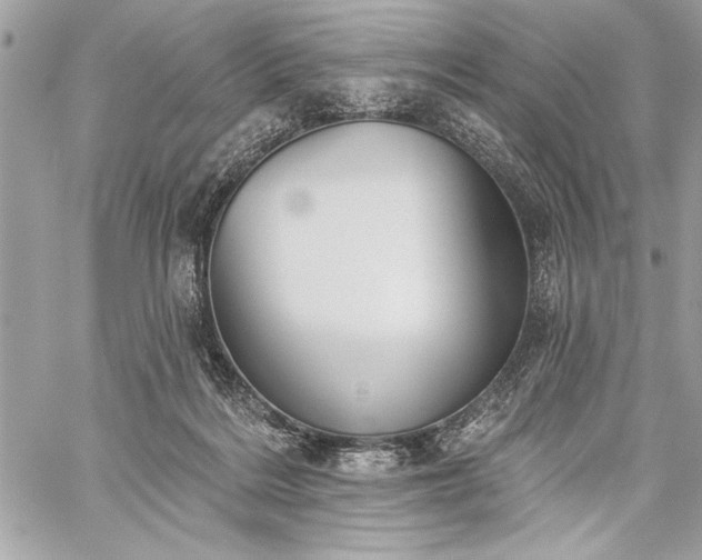 X0000060240220200510281127