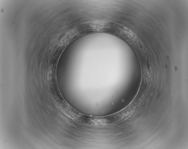 X0000060240221200510281127