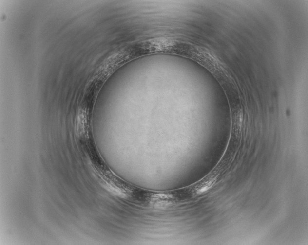 X0000060240222200510281127