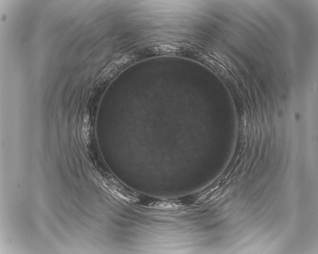 X0000060240223200510281127