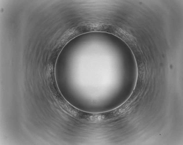 X0000060240225200510281127