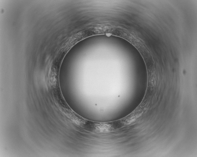 X0000060240226200510281127