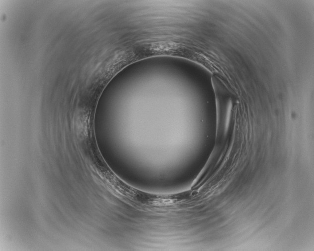 X0000060240227200510281127