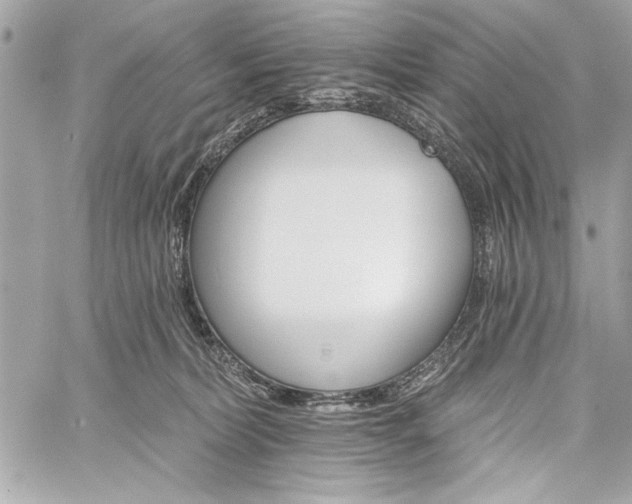 X0000060240228200510281127