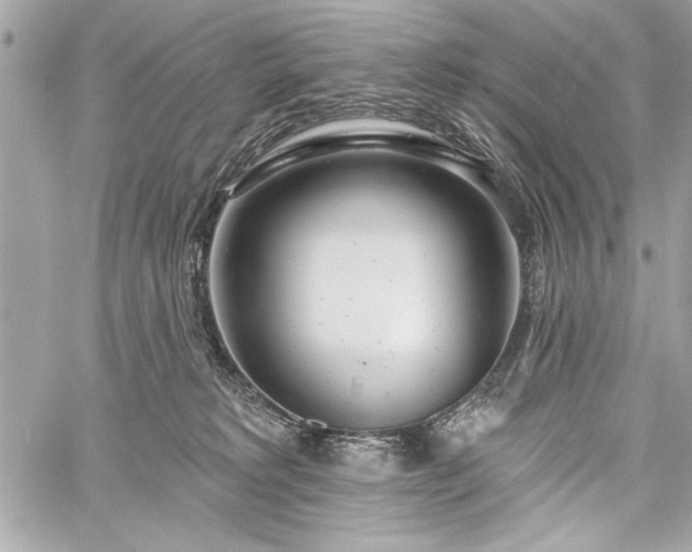 X0000060240229200510281127