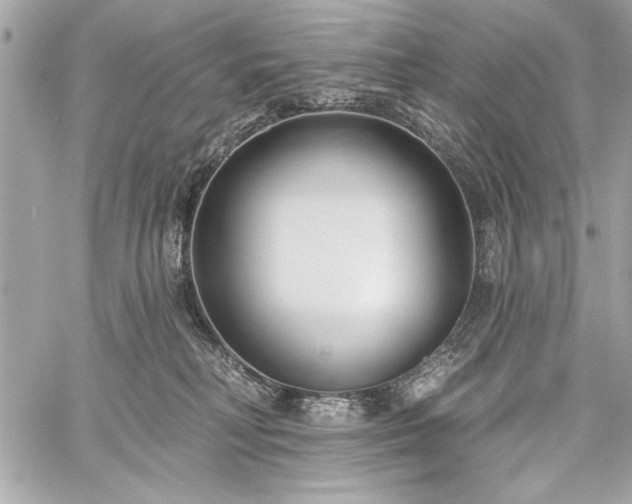 X0000060240230200510281127