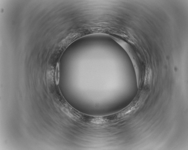 X0000060240231200510281127