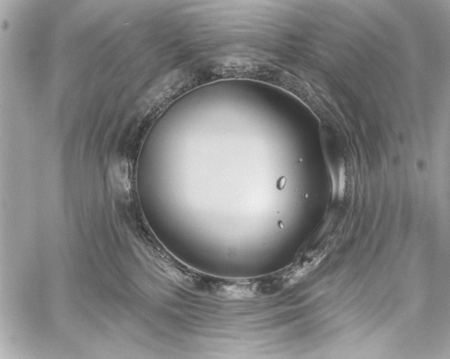 X0000060240232200510281127