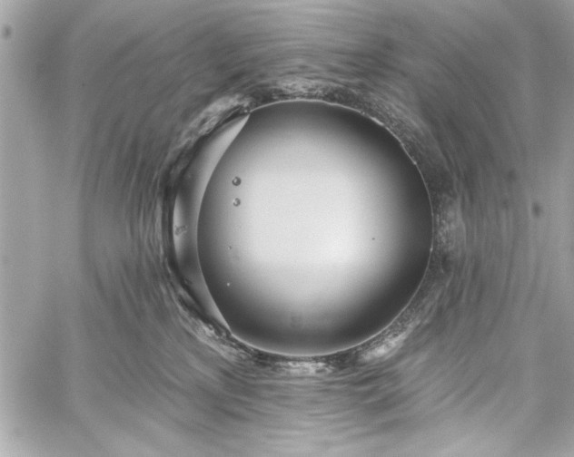 X0000060240233200510281127