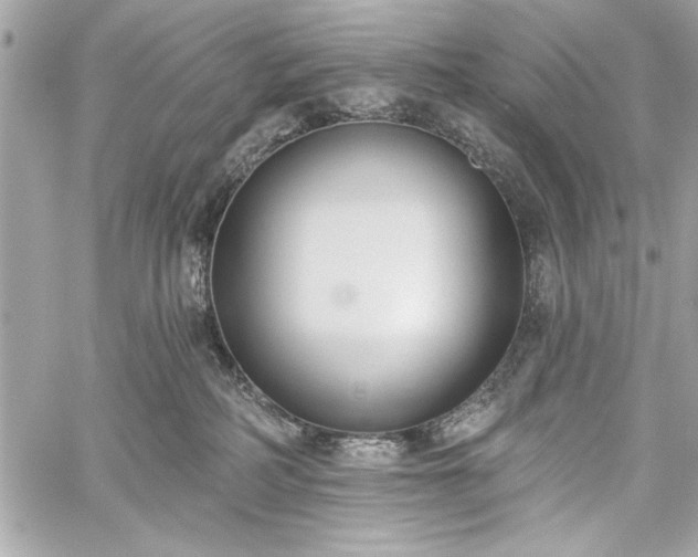 X0000060240234200510281127