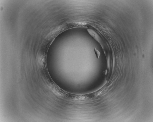 X0000060240235200510281127