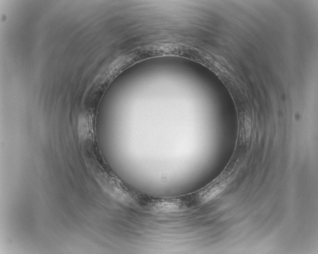 X0000060240236200510281127