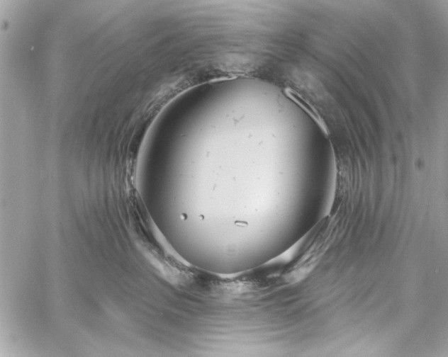 X0000060240237200510281127