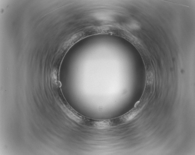 X0000060240238200510281127