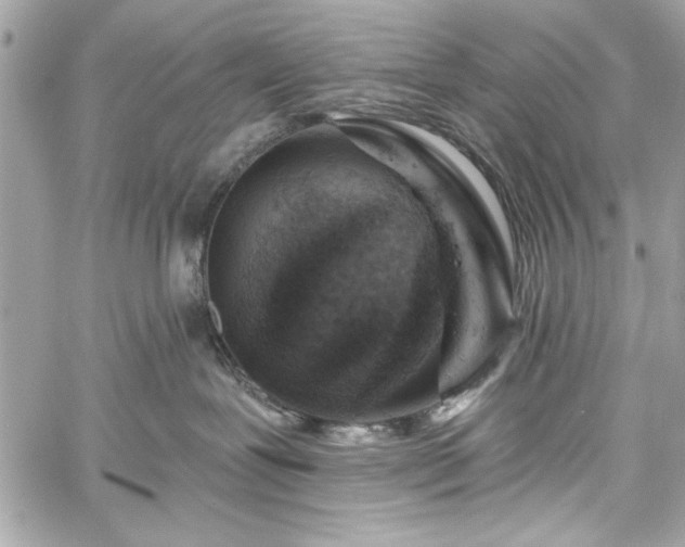 X0000060240239200510281127