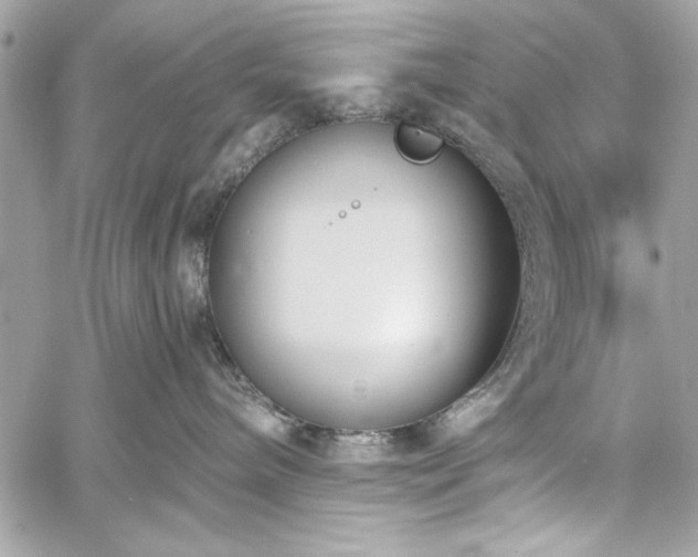 X0000060240240200510281127