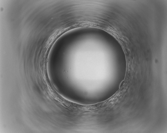 X0000060240241200510281126