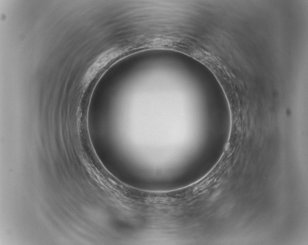 X0000060240242200510281126