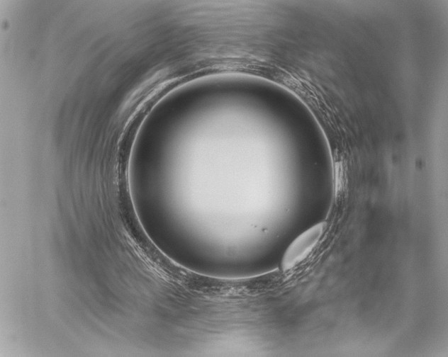 X0000060240243200510281126