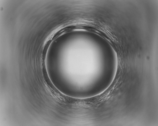 X0000060240244200510281126