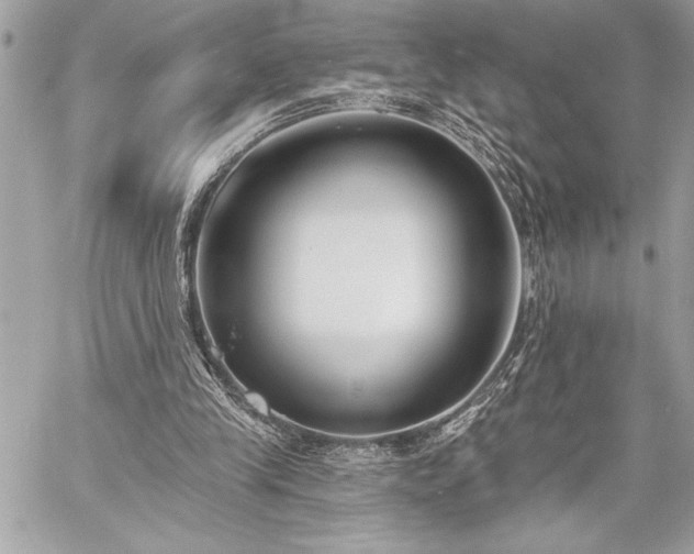 X0000060240245200510281126