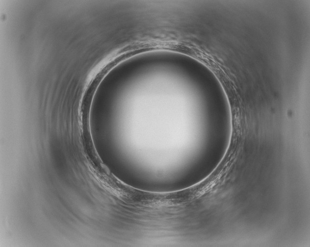 X0000060240246200510281126