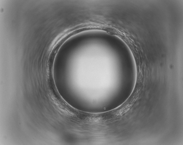 X0000060240247200510281126