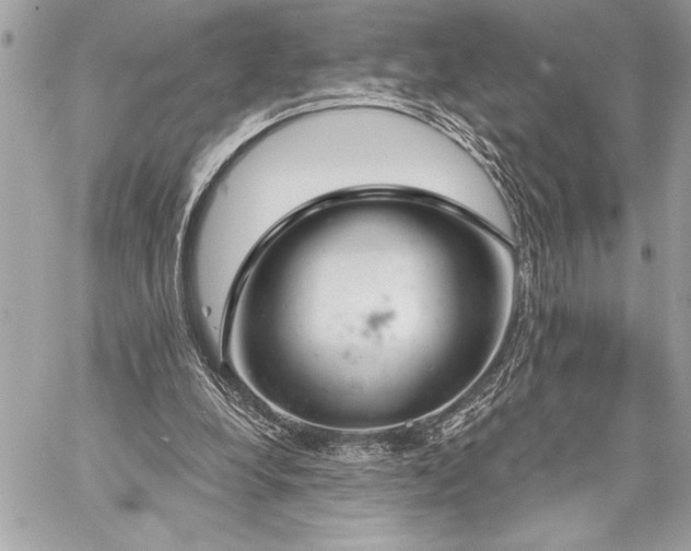 X0000060240248200510281126