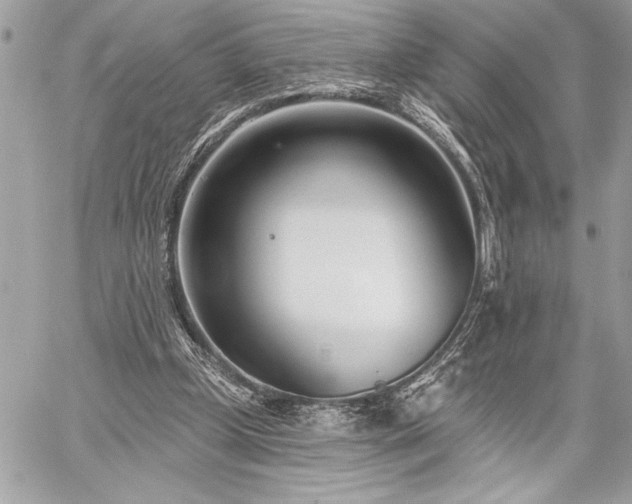 X0000060240249200510281126