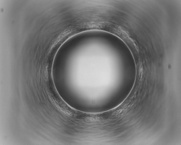 X0000060240250200510281126