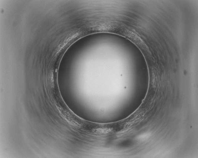 X0000060240251200510281126