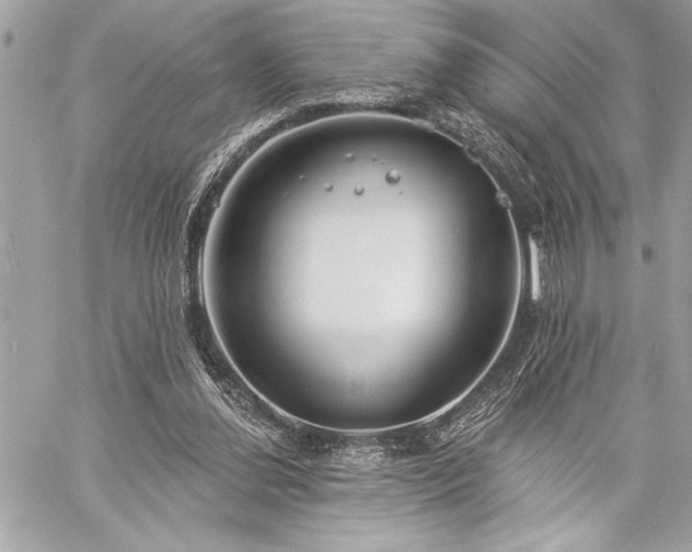 X0000060240252200510281126